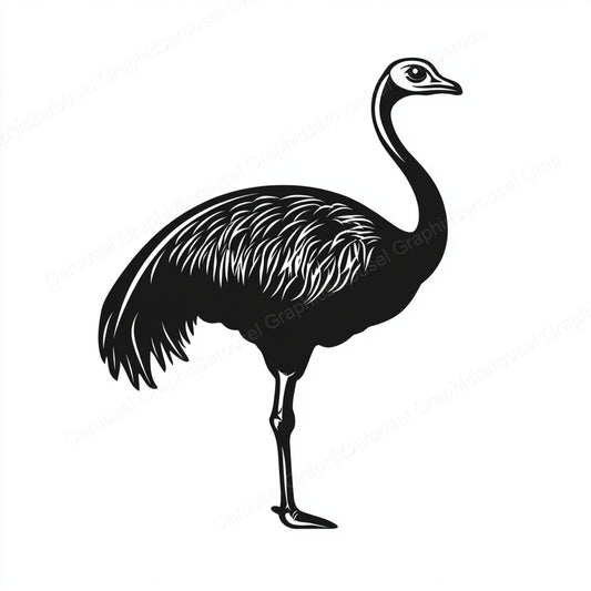 Ostrich Vector Graphic preview