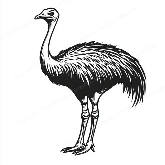 Ostrich Vector Graphic preview
