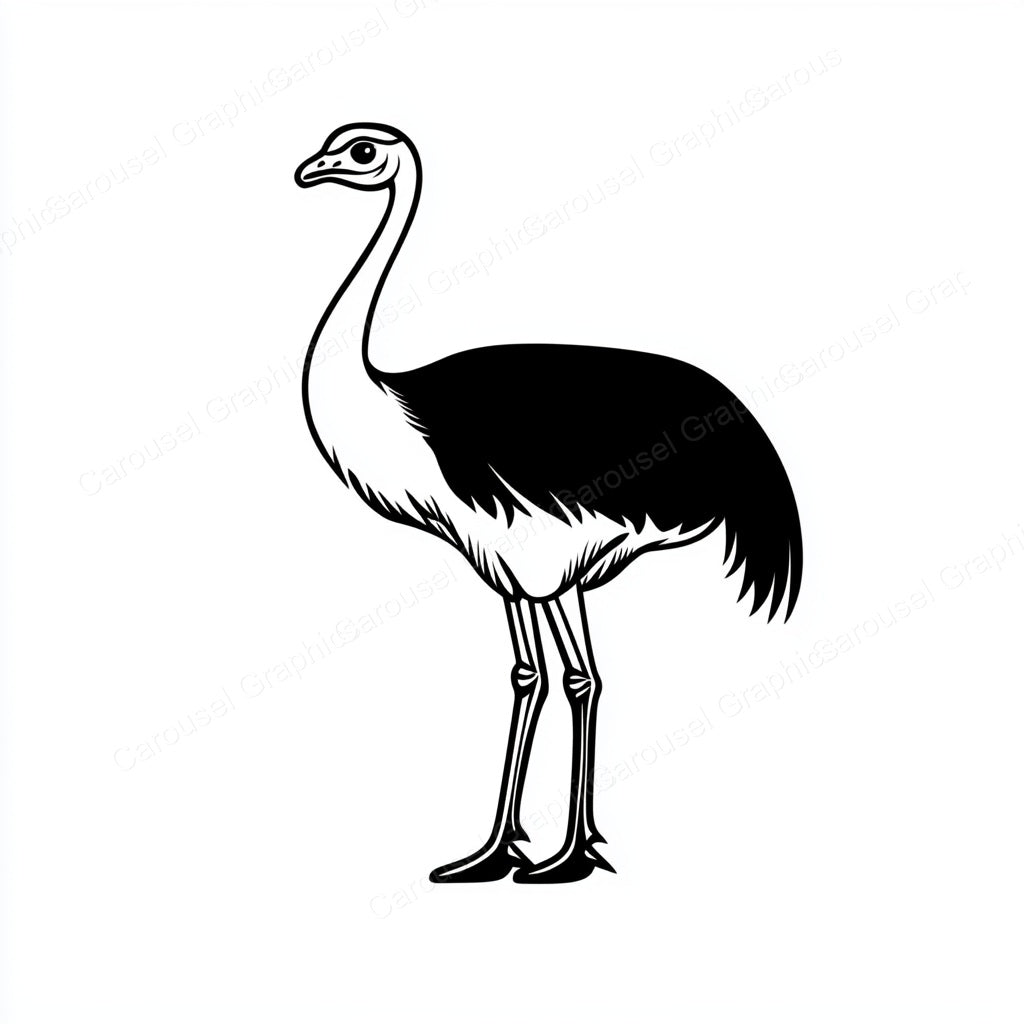 Ostrich Vector Graphic preview