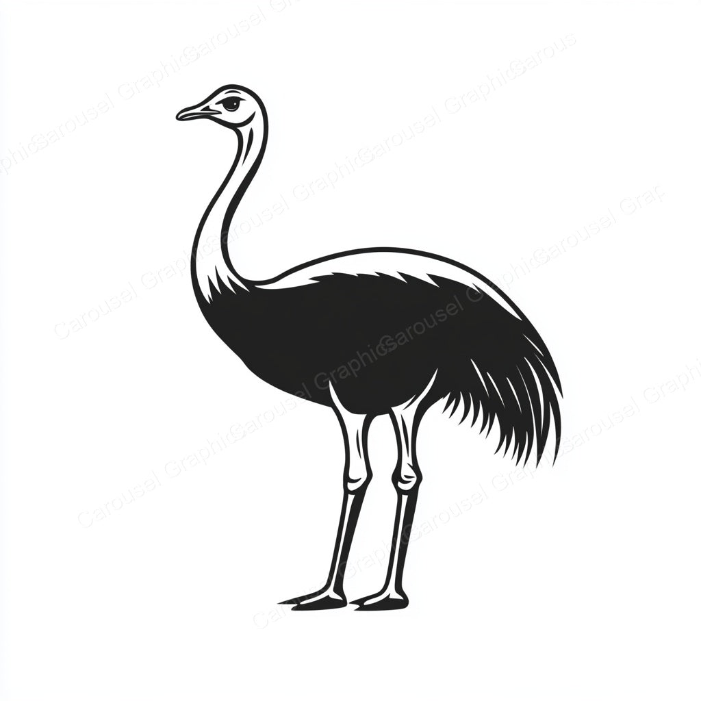 Ostrich Vector Graphic preview