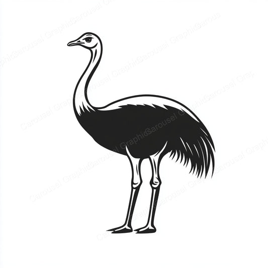 Ostrich Vector Graphic preview