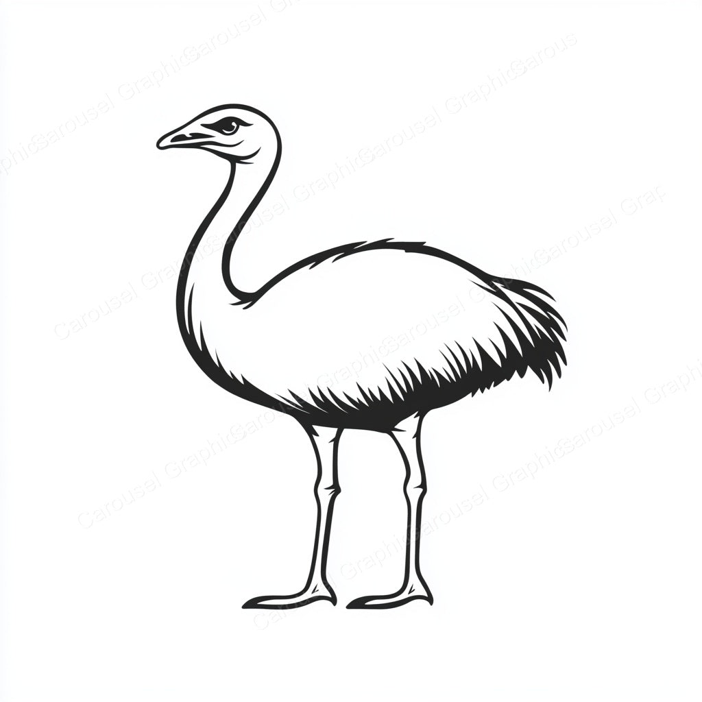 Ostrich Vector Graphic preview