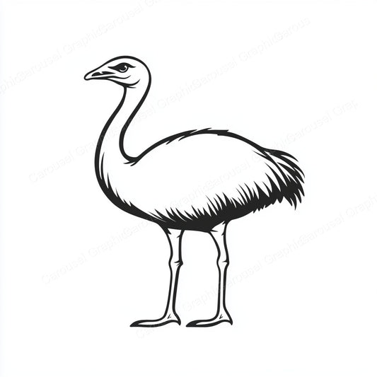Ostrich Vector Graphic preview