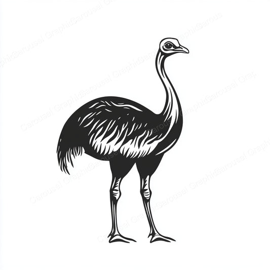 Ostrich Vector Graphic preview