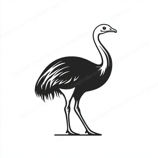 Ostrich Vector Graphic preview
