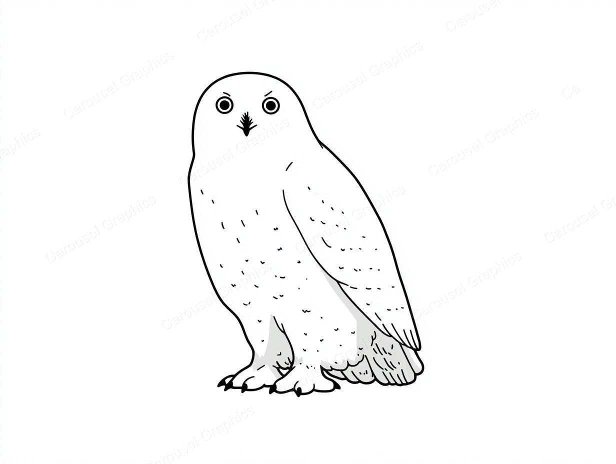 Owl Vector Graphic preview