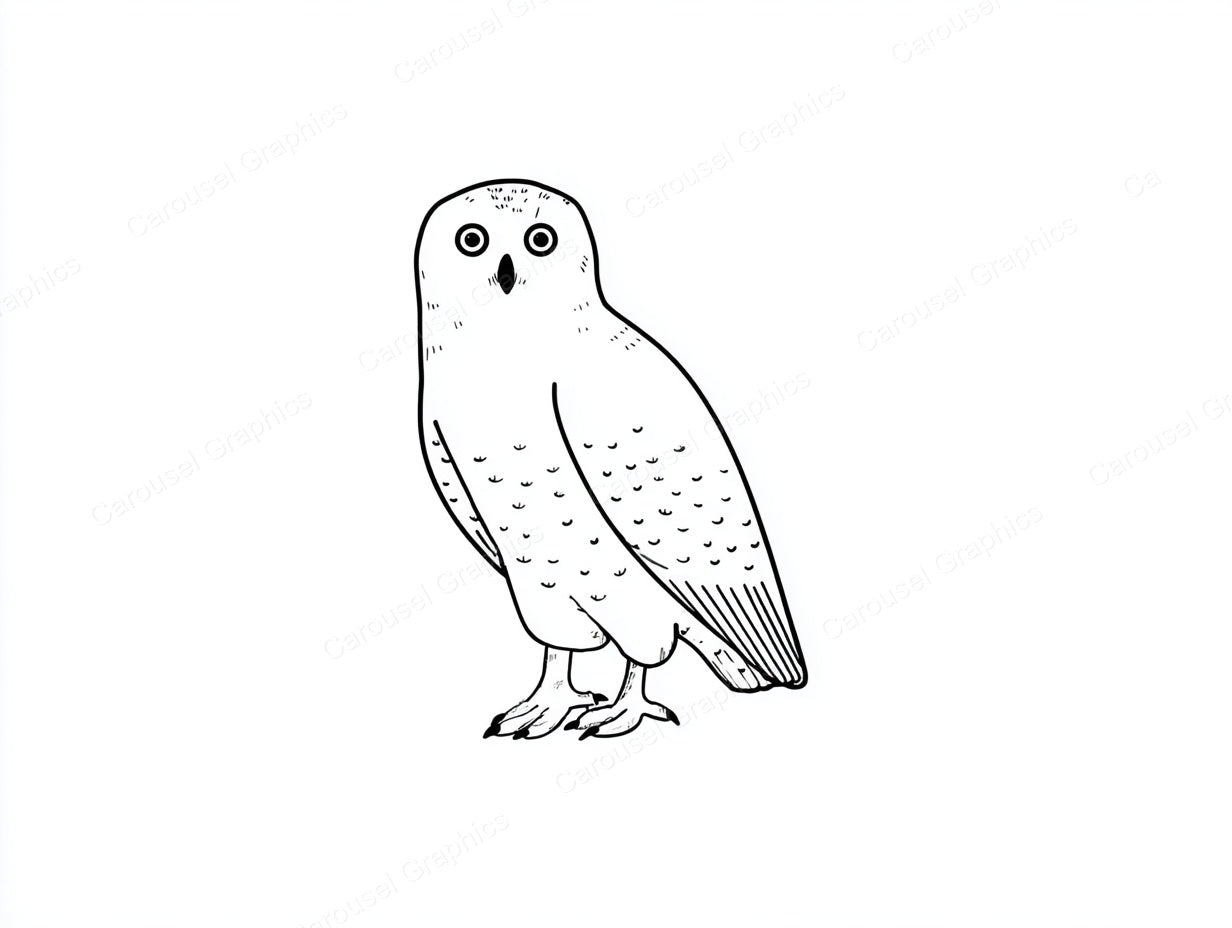 Owl Vector Graphic preview