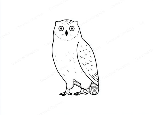 Owl Vector Graphic preview