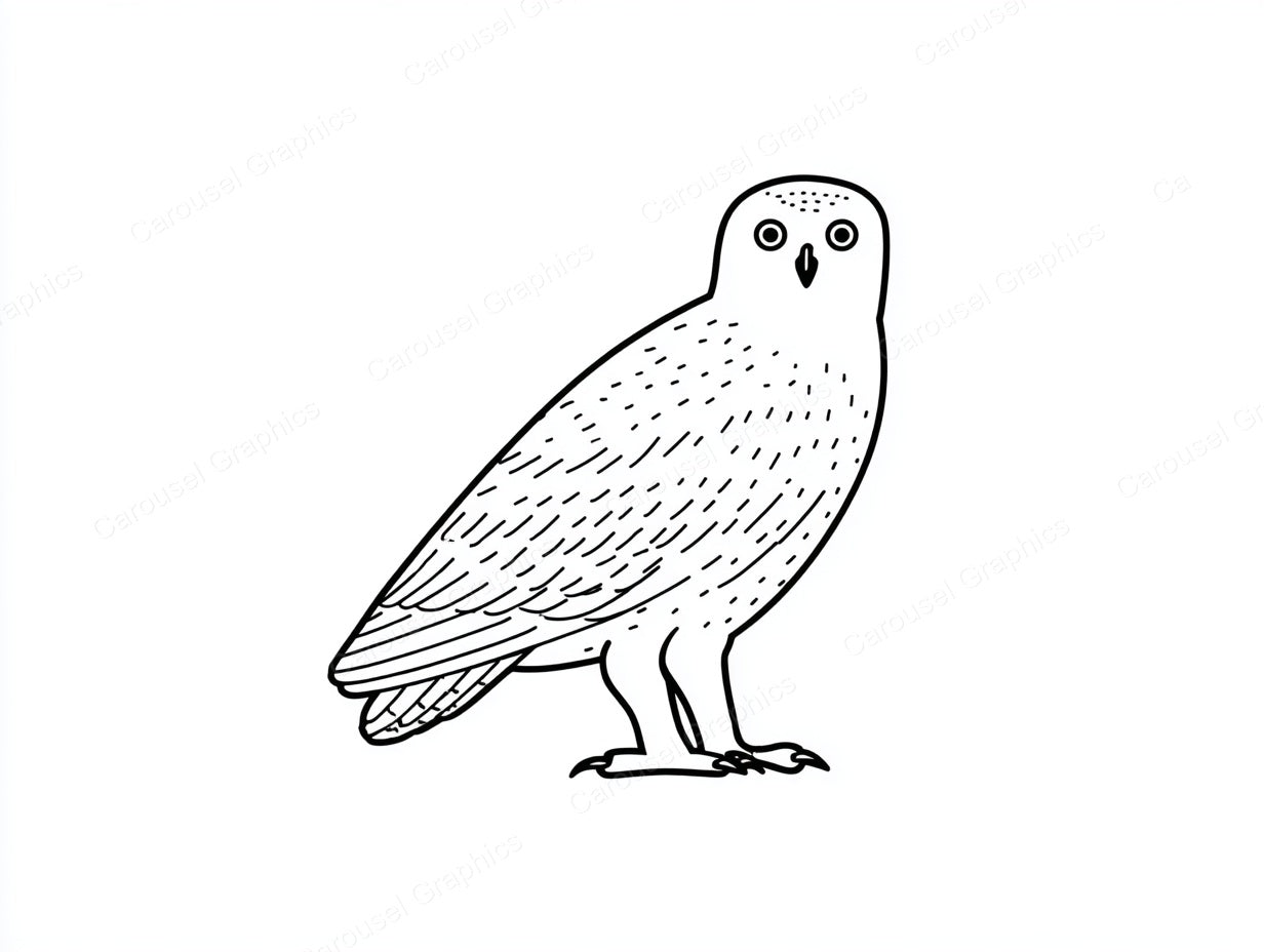 Owl Vector Graphic preview