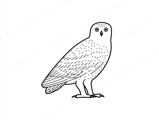Owl Vector Graphic preview