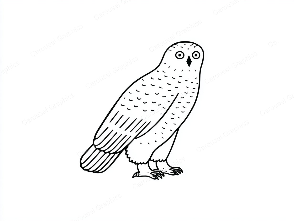 Owl Vector Graphic preview