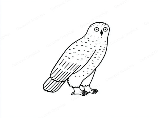 Owl Vector Graphic preview