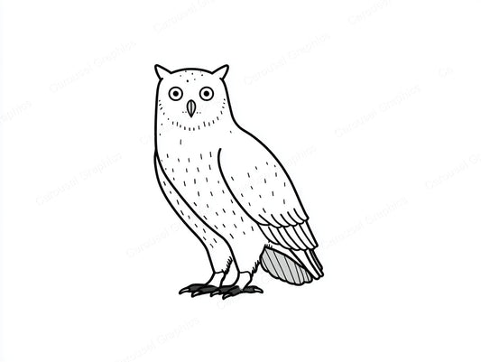 Owl Vector Graphic preview