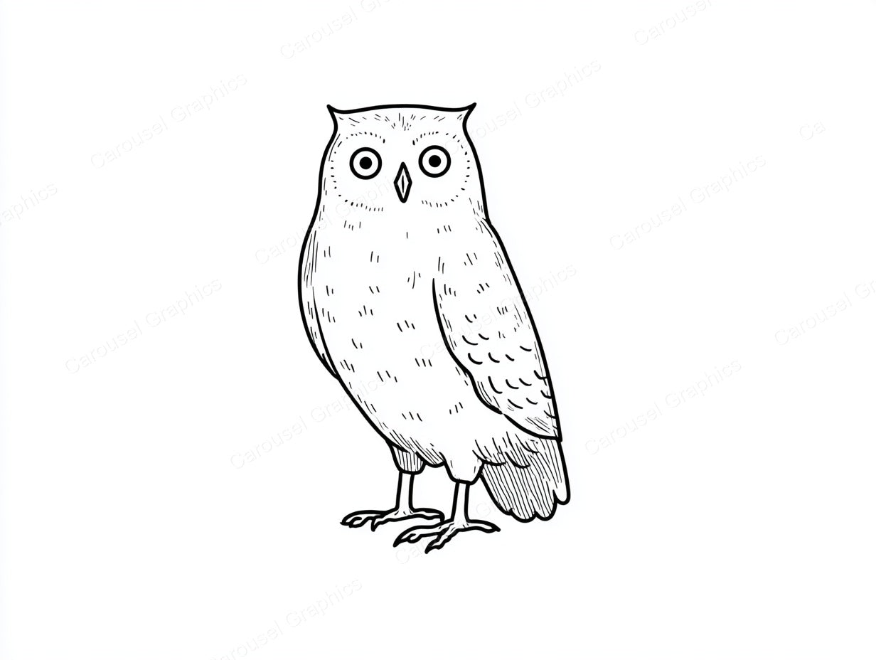 Owl Vector Graphic preview