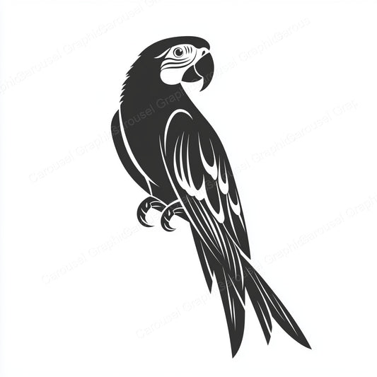 Parrot Vector Graphic preview