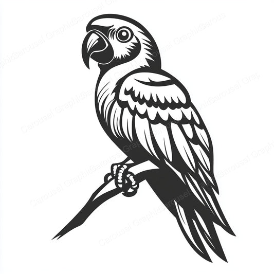 Parrot Vector Graphic preview