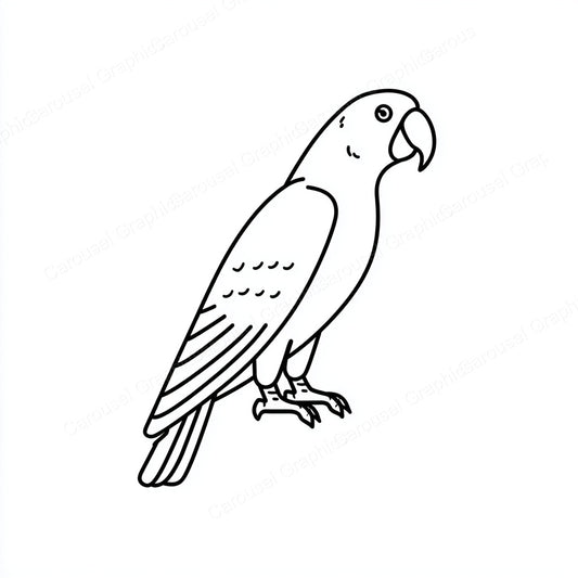 Parrot Vector Graphic preview