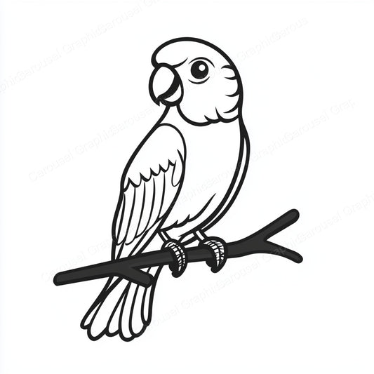 Parrot Vector Graphic preview