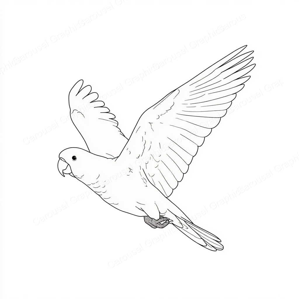 Parrot Vector Graphic preview
