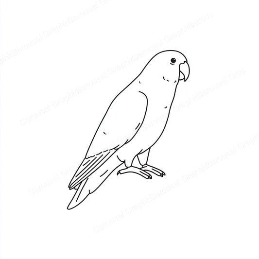 Parrot Vector Graphic preview