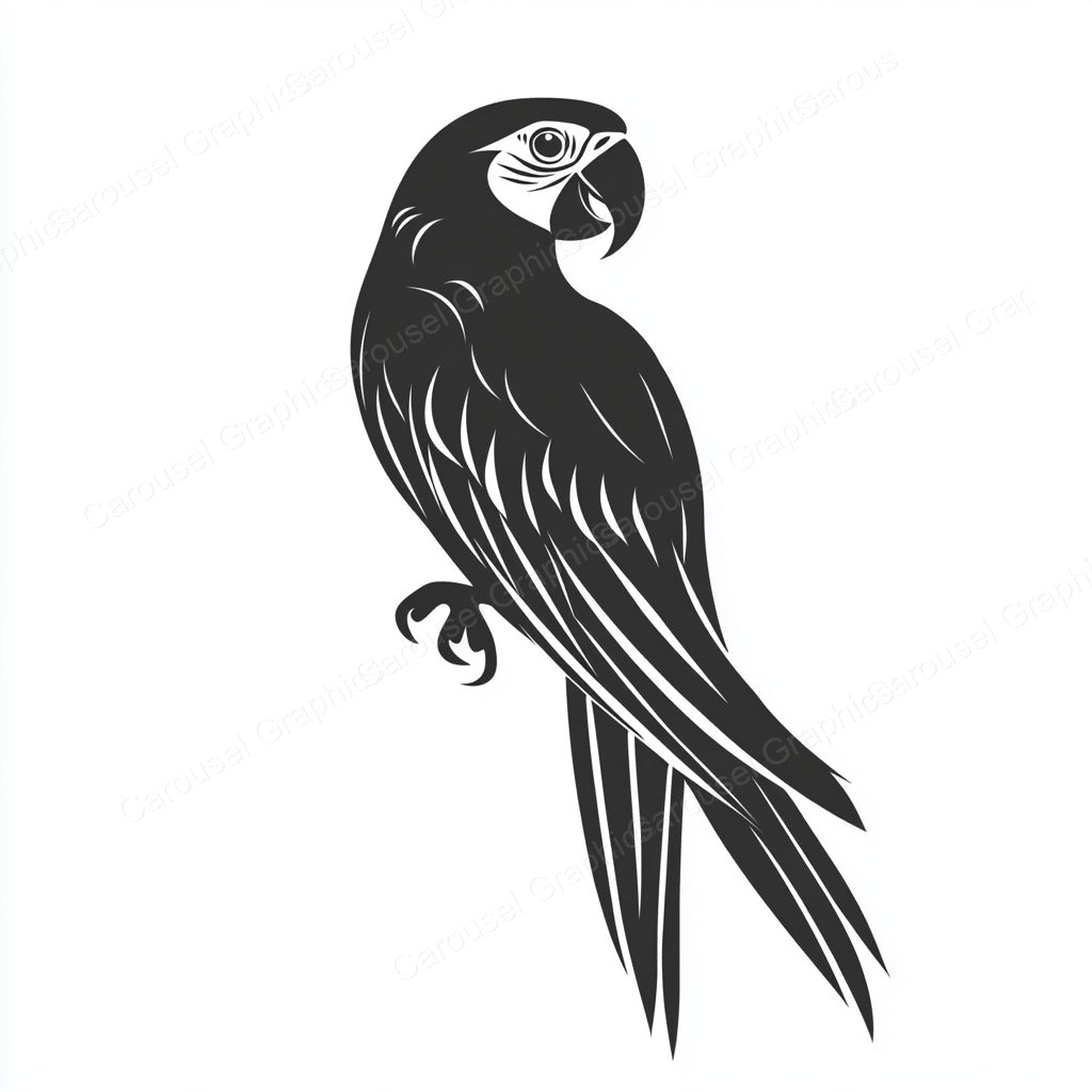 Parrot Vector Graphic preview