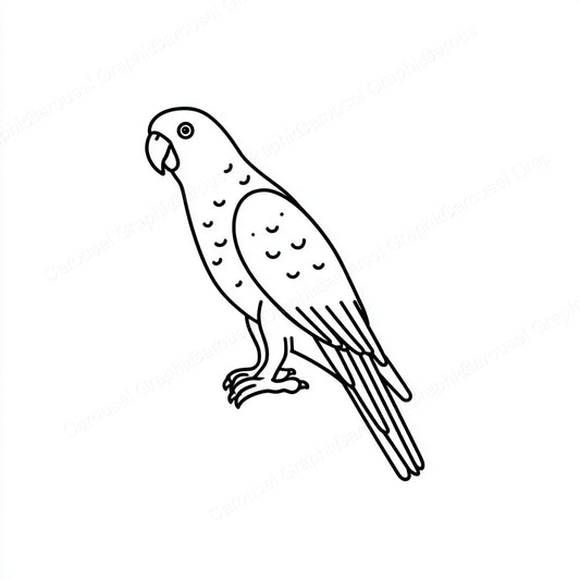 Parrot Vector Graphic preview