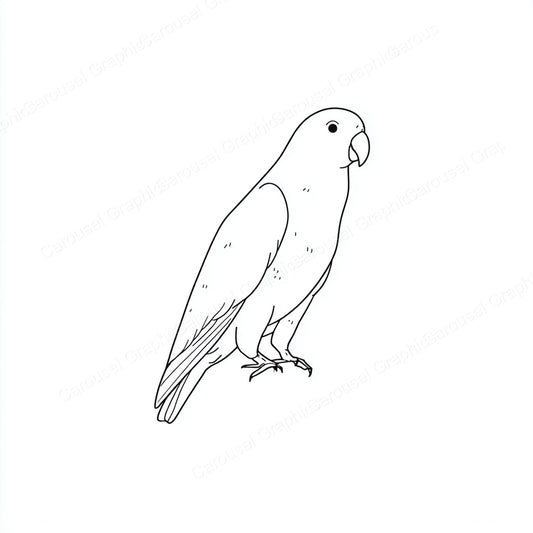 Parrot Vector Graphic preview