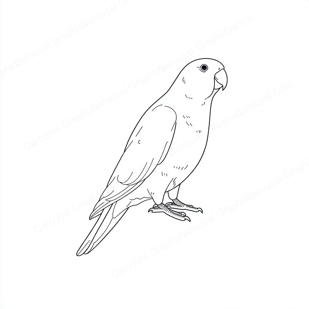 Parrot Vector Graphic preview