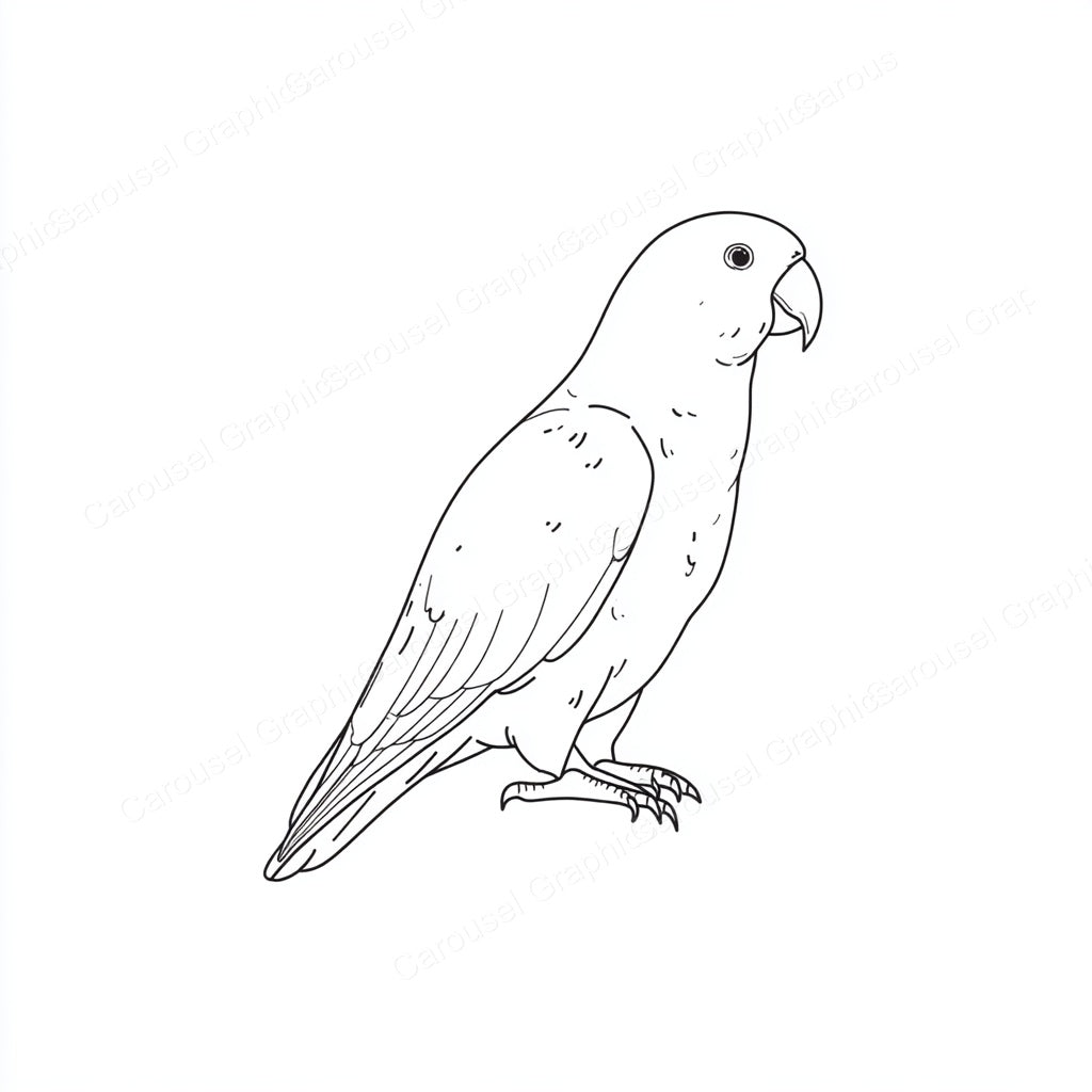 Parrot Vector Graphic preview
