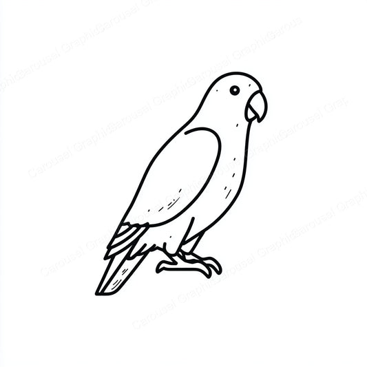 Parrot Vector Graphic preview
