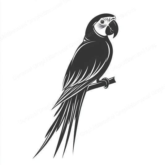 Parrot Vector Graphic preview