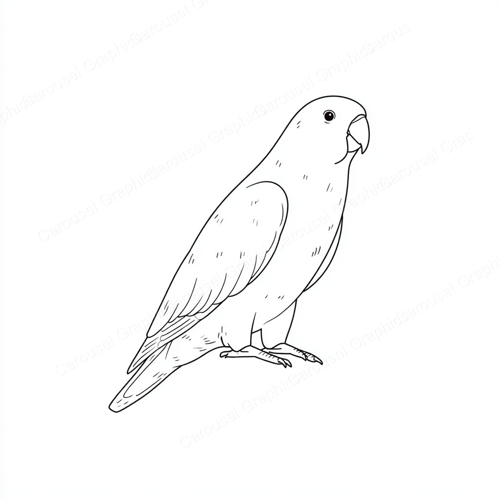 Parrot Vector Graphic preview