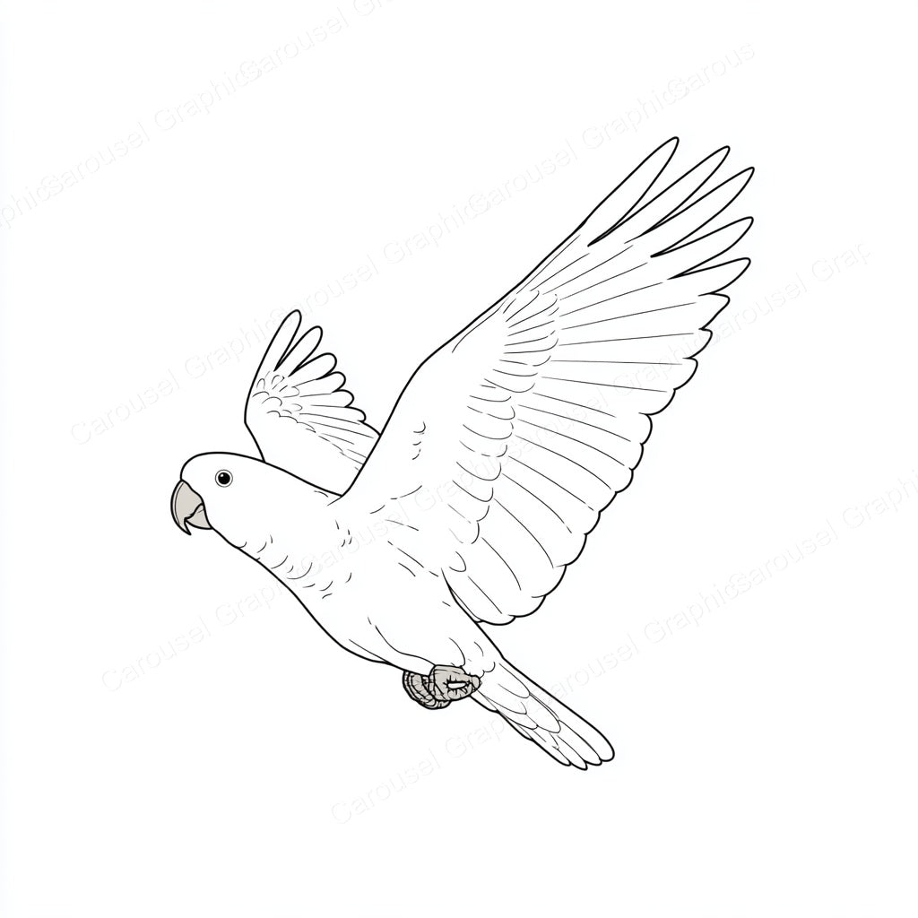Parrot Vector Graphic preview