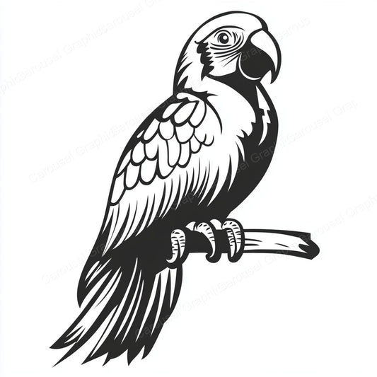 Parrot Vector Graphic preview