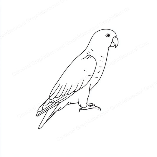 Parrot Vector Graphic preview