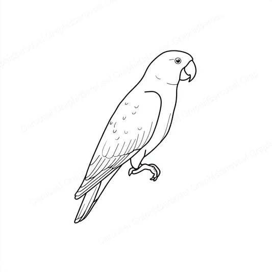 Parrot Vector Graphic preview