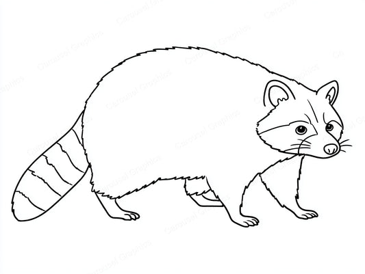 Raccoon Vector Graphic preview