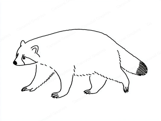 Raccoon Vector Graphic preview