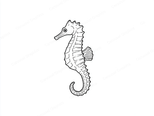 Seahorse Vector Graphic preview