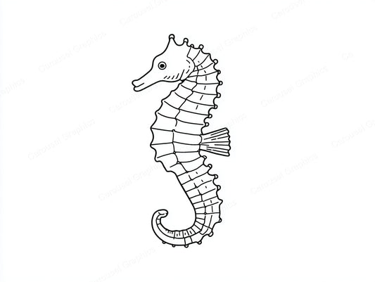 Seahorse Vector Graphic preview