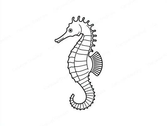 Seahorse Vector Graphic preview