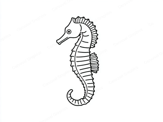 Seahorse Vector Graphic preview