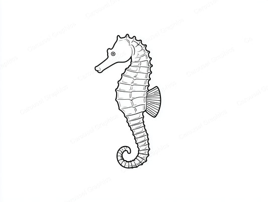 Seahorse Vector Graphic preview