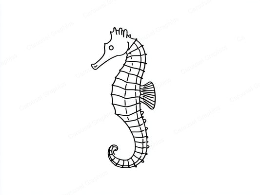 Seahorse Vector Graphic preview