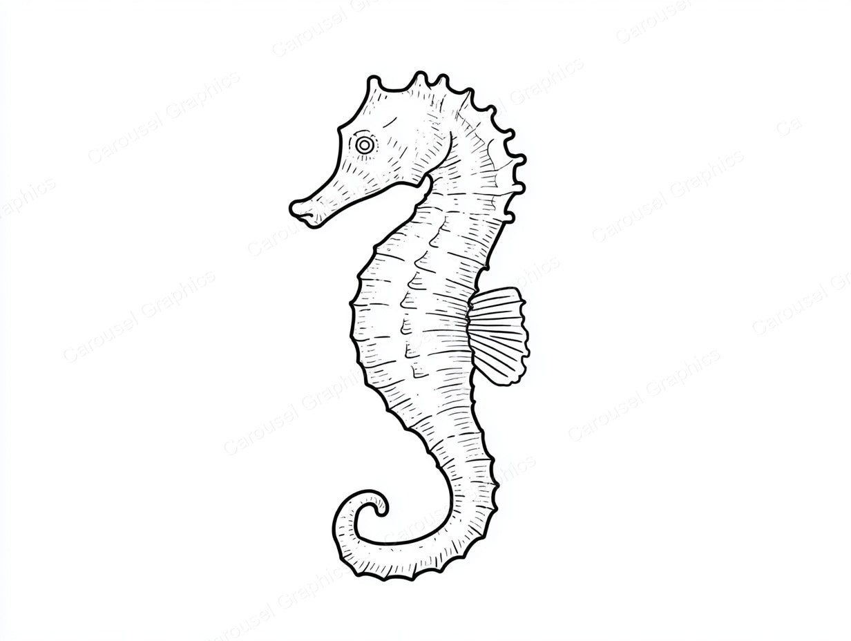 Seahorse Vector Graphic preview