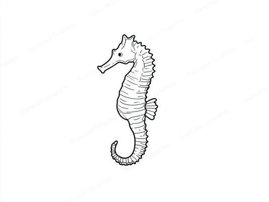 Seahorse Vector Graphic preview