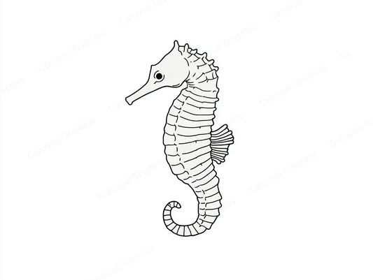 Seahorse Vector Graphic preview