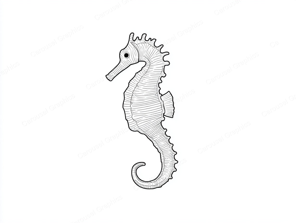 Seahorse Vector Graphic preview