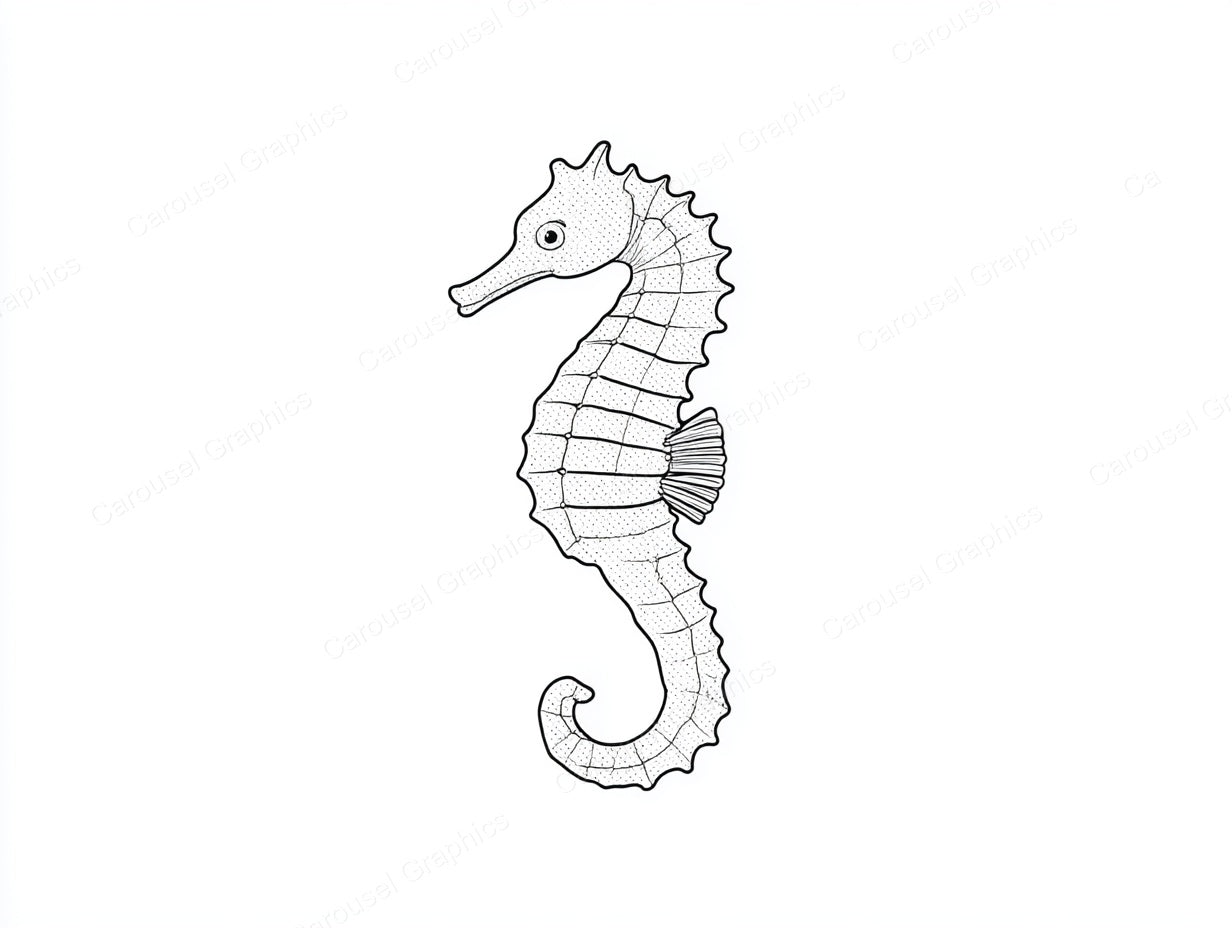 Seahorse Vector Graphic preview