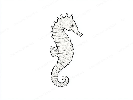 Seahorse Vector Graphic preview